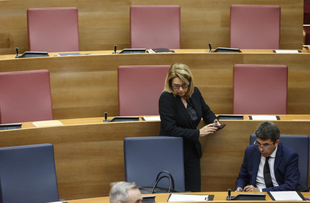 La vicepresidenta y consellera de Servicios Sociales, Igualdad y Vivienda, Susana Camarero, y el presidente de la Generalitat, Carlos Mazón, durante una sesión plenaria, en Les Corts Valencianes, a 15 de noviembre de 2024, en Valencia, Comunidad Valencian