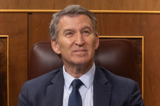 El presidente del PP, Alberto Núñez Feijóo, durante una sesión de control al Gobierno, a 20 de noviembre de 2024, en Madrid (España).
