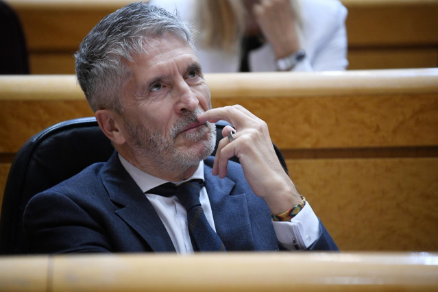 El ministro del Interior, Fernando Grande-Marlaska, durante una sesión de control al Gobierno en el Senado