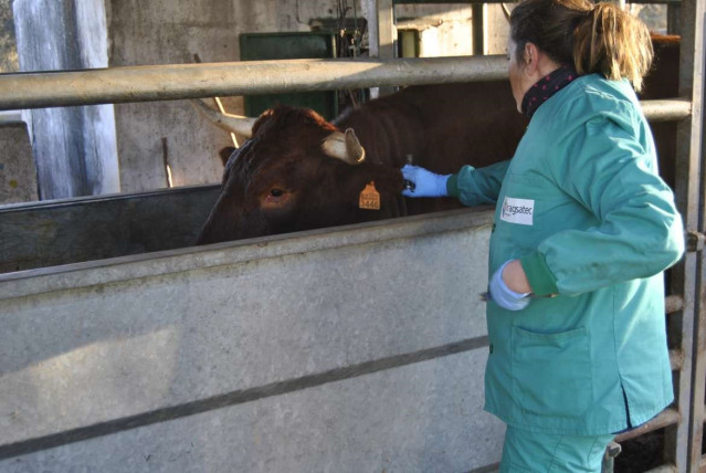 Archivo - Ganaderia Tragsatec.