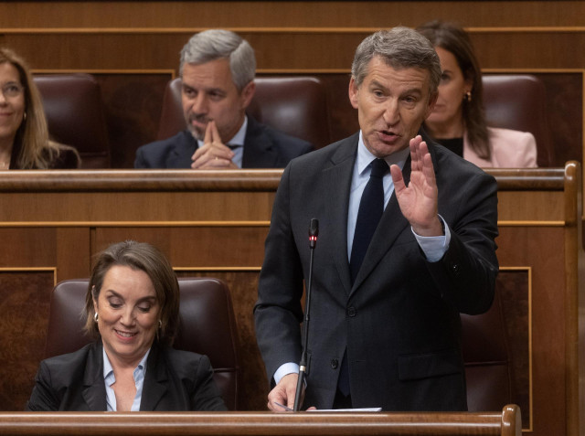 El presidente del PP, Alberto Núñez Feijóo, interviene durante una sesión de control al Gobierno, en el Congreso de los Diputados, a 27 de noviembre de 2024, en Madrid (España).