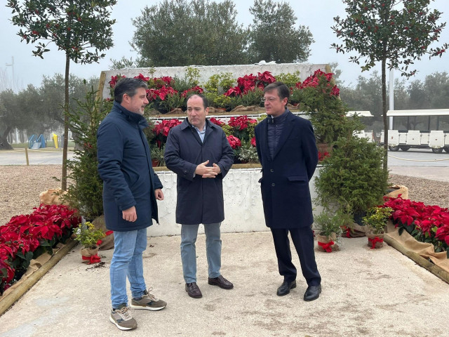 El segundo teniente de alcalde del Ayuntamiento de Madrid, Borja Carabante.