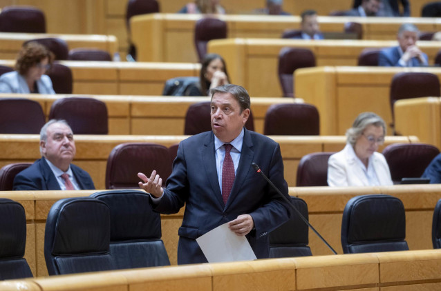 Archivo - El ministro de Agricultura, Pesca y Alimentación, Luis Planas, durante una sesión de control al Gobierno, en el Senado,