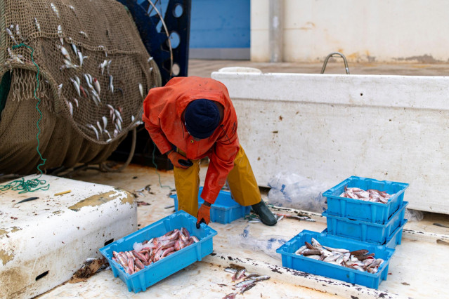 Un hombre trabaja en el Puerto de Arenys, a 11 de diciembre de 2024, en Arenys de Mar, Barcelona, Catalunya (España).