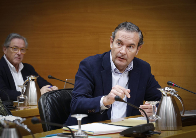 Archivo - El diputado del PPCV Fernando Pastor