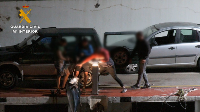 La Guardia Civil durante la operación 'Galete' donde se ha desarticulado un grupo delictivo dedicado a la pesca furtiva de atún rojo en Málaga