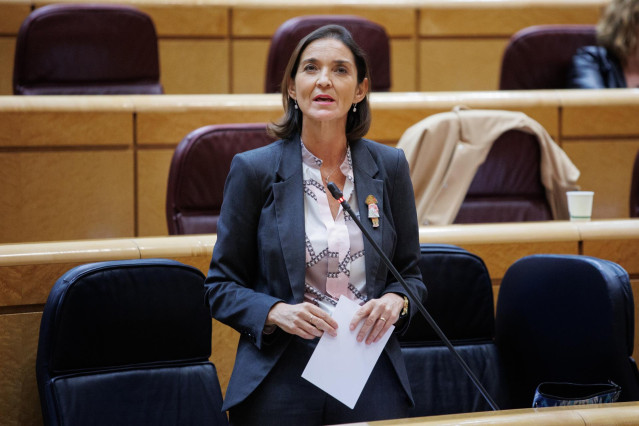 Archivo - La ministra de Industria, Comercio y Turismo, Reyes Maroto, interviene durante una sesión de control al Gobierno en el Senado, a 22 de noviembre de 2022, en Madrid (España). El PP intensifica su ofensiva contra el jefe del Ejecutivo centrándose
