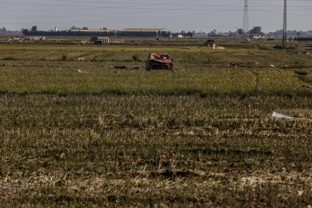 Archivo - Restos de la DANA en un campo de arrozales en las inmediaciones de la Albufera, a un mes del paso de la DANA por Valencia,