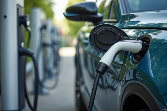 Cargadores de coches eléctricos.