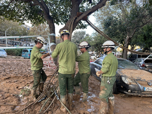 Personal de Iberdrola trabaja en reparaciones en la zona afectada por la dana