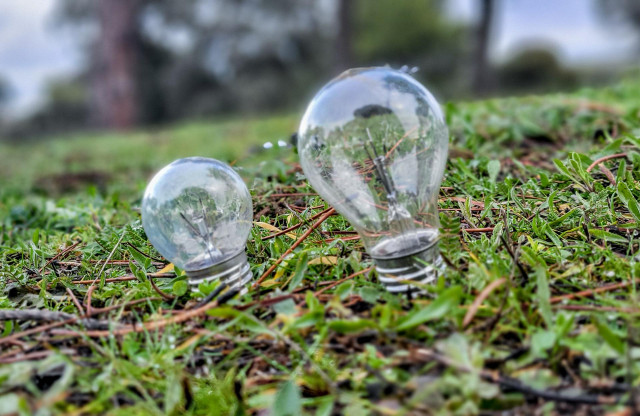 Dos bombillas sobre césped. El Gobierno central ha eliminado de manera definitiva las reducciones temporales que, desde junio de 2021, venía aplicando para paliar la inflación de precios en materia energética, derivada de la Guerra de Ucrania.