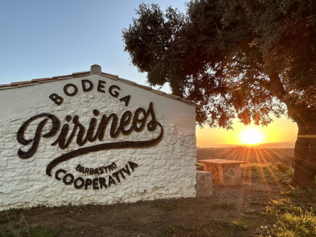 Bodega Pirineos (Grupo Barbadillo)