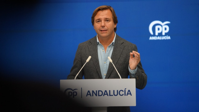 Archivo - El secretario general del PP-A, Antonio Repullo