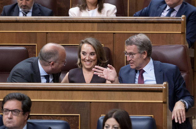 Archivo - (I-D) El portavoz del PP en el Congreso, Miguel Tellado, la secretaria general del PP, Cuca Gamarra, y el presidente del Partido Popular, Alberto Núñez Feijóo, durante una sesión de control