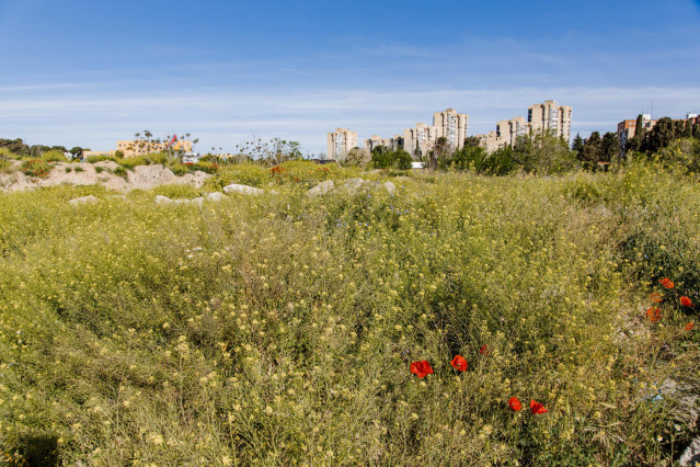 Archivo - Los terrenos de la antigua cárcel de Carabanchel, a 12 de abril de 2023, en Madrid, (España).