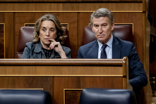 La secretaria general del Partido Popular, Cuca Gamarra, y el presidente del PP, Alberto Núñez Feijóo, durante una sesión plenaria extraordinaria, en el Congreso de los Diputados, a 22 de enero de 2025, en Madrid (España).