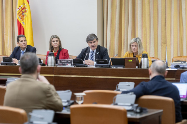 El abogado de Javier Martínez y Silvia Llompart, Agustí Carles i Garau (3i), comparece en la Comisión de Investigación en el Congreso por los atentados del 17-A