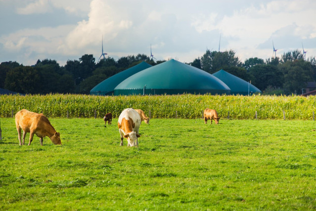 Archivo - Moeve lanza un plan para desarrollar 30 plantas de biometano en España en 2030 con inversión de 600 millones