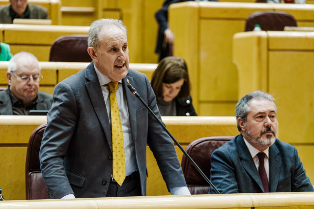 El senador del PSOE Alfonso Gil interviene durante una sesión plenaria extraordinaria, en el Senado, a 28 de enero de 2025, en Madrid