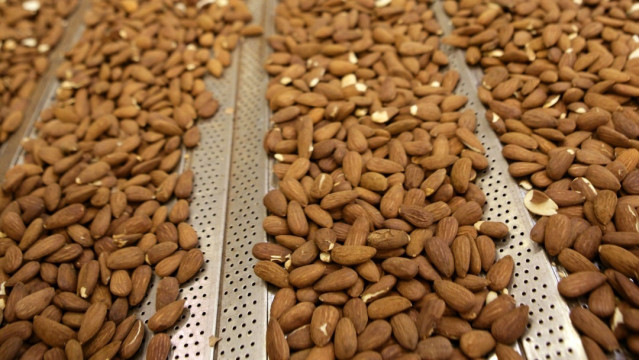 Archivo - Almendras producidas por BAIN
