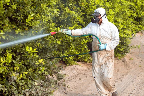 Archivo - Trabajador fumigando.