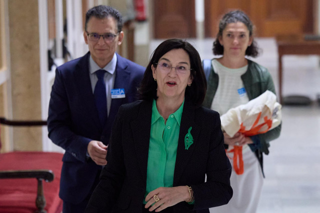 Archivo - La presidenta de la Comisión Nacional de los Mercados y Competencia (CNMC), Cani Fernández, llega a comparecer en la Comisión de Economía, Comercio y Transformación Digital, en el Congreso de los Diputados, a 19 de septiembre de 2024, en Madrid