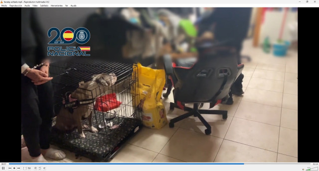 Agentes de la Policía Nacional han desarticulado una organización asentada en Bizkaia que estafó más de 150.000 euros con la venta fraudulenta de cachorros