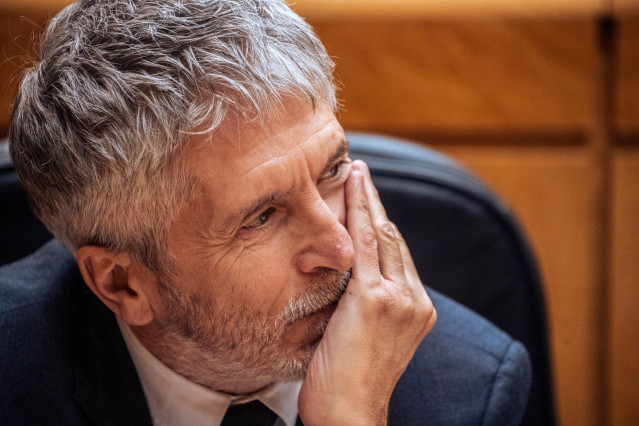 El ministro del Interior, Fernando Grande-Marlaska, durante una sesión de control al Gobierno en el Senado