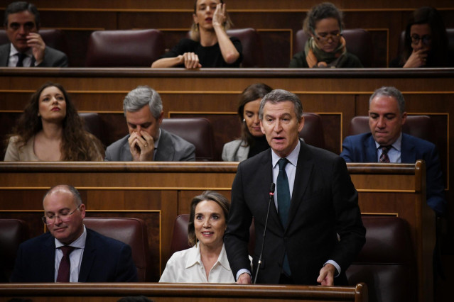 Archivo - El presidente del PP, Alberto Núñez Feijóo, interviene durante una sesión de control al Gobierno en el Congreso de los Diputados, a 11 de diciembre de 2024, en Madrid (España). El PP encara la sesión de control al Gobierno de hoy en el Congreso