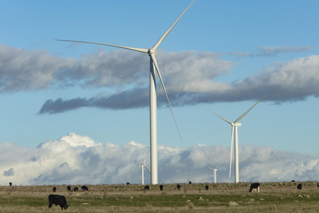 Archivo - Parque eólico de Acciona Energía en Australia.