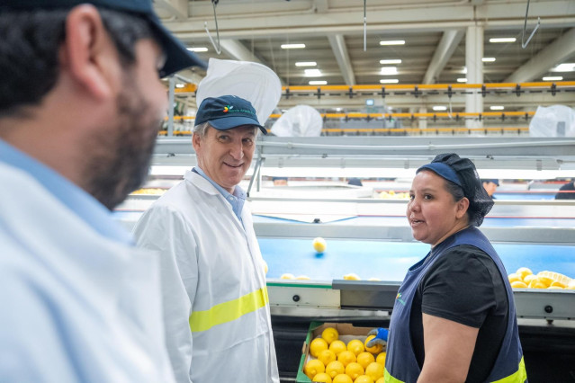 El líder del PP, Alberto Núñez Feijóo, y el presidente de la Región de Murcia, Fernando López Miras, durante una visita a una empresa hortofrutícola del municipio de Librilla (Murcia).