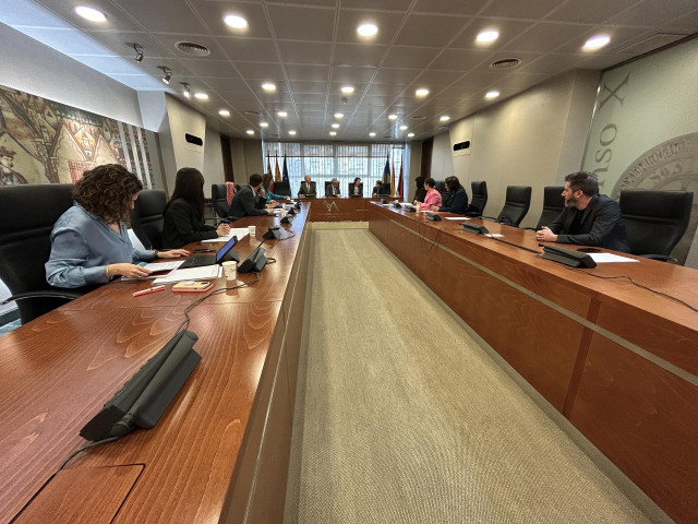 Comisión Especial de Investigación sobre derivaciones presuntamente irregulares del SMS a la sanidad privada