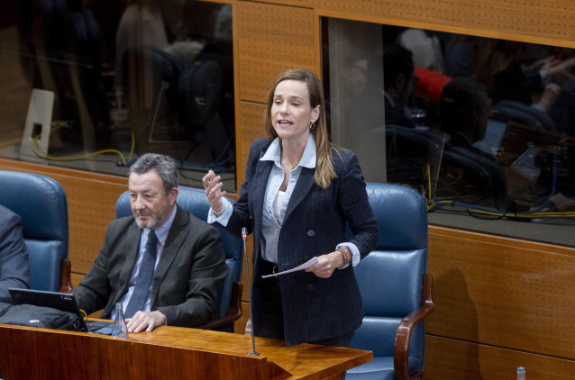 La portavoz de Vox en la Asamblea de Madrid, Isabel Pérez Moñino-Aranda, interviene durante un pleno en la Asamblea de Madrid, a 20 de febrero de 2025, en Madrid (España)