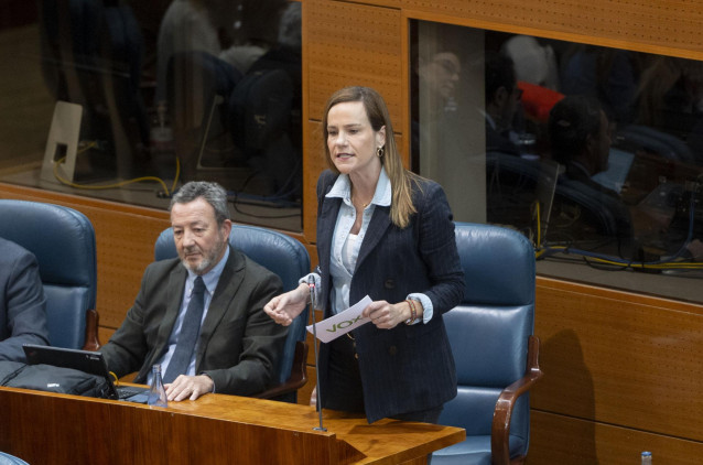 La portavoz de Vox en la Asamblea de Madrid, Isabel Pérez Moñino-Aranda.