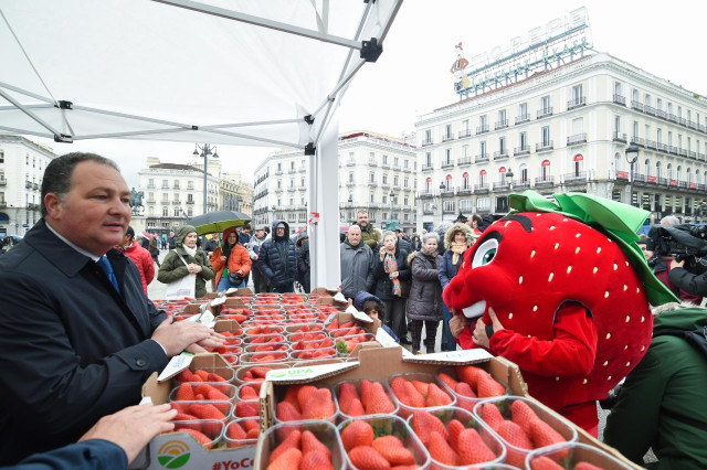 El presidente de la Diputación de Huelva, David Toscano (i), durante el reparto de tarrinas de fresa por parte de la Unión de Pequeños Agricultores y Ganaderos (UPA), en la Puerta del Sol