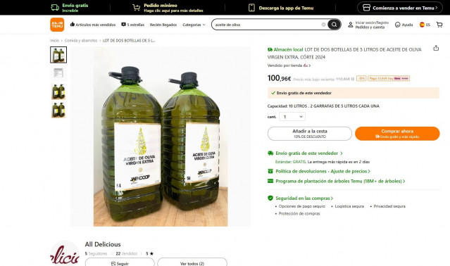 Web de Temu