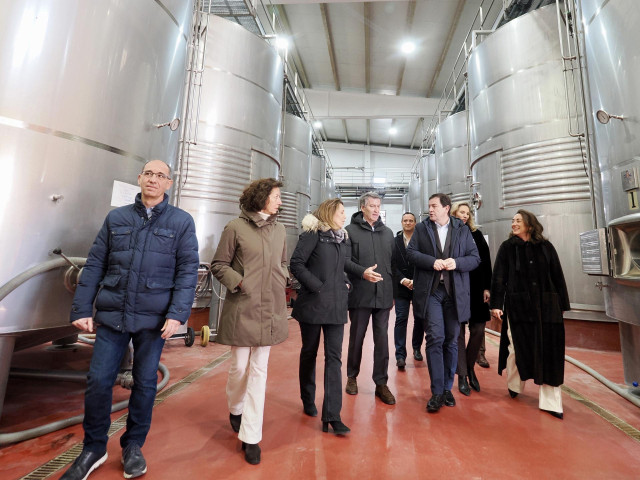 El presidente del Partido Popular, Alberto Núñez Feijóo, y el presidente de la Junta de Castilla y León y del PP regional, Alfonso Mañueco, visitan las Bodegas Hijos de Alberto Gutierrez, en Serrada (Valladolid). EUROPA PRESS/Claudia Alba