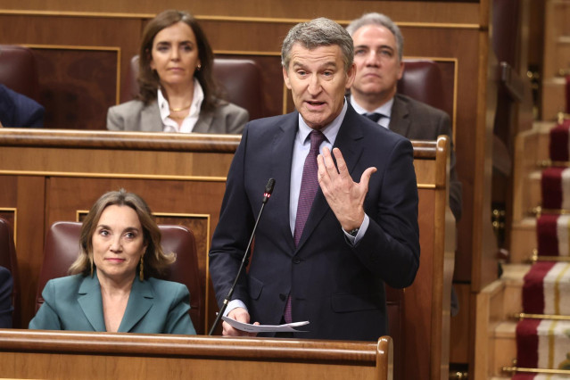 Archivo - El presidente del PP, Alberto Núñez Feijóo, interviene durante una sesión de control, Congreso de los Diputados, a 12 de febrero de 2025, en Madrid (España). Durante la sesión de control, la primera de 2025, el Ejecutivo se enfrenta a las pregun