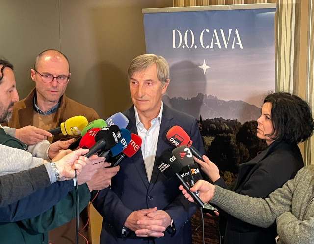 El presidente de DO Cava, Javier Pagés, en declaraciones a los medios