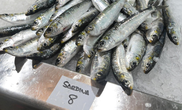 Archivo - Sardinas en las pescaderías