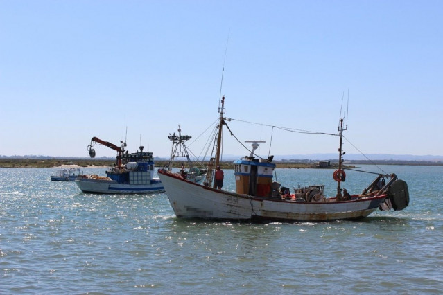Archivo - Pesca de arrastre.