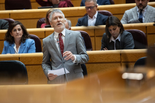 El ministro del Interior, Fernando Grande-Marlaska, durante una sesión de control al Gobierno, en el Senado