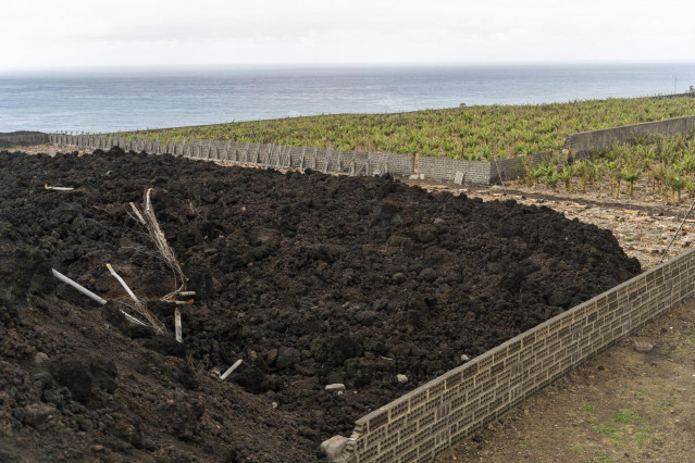 Archivo - Fincas afectadas por la lava en el Valle de Aridane