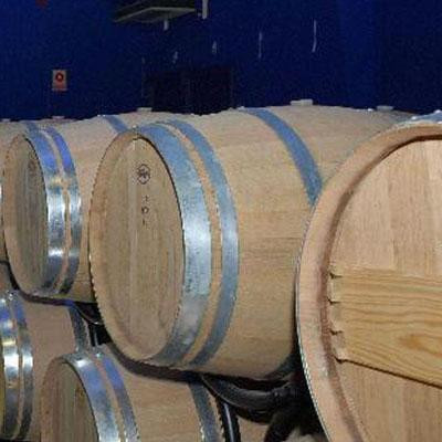 Archivo - Barricas en Rioja Alavesa