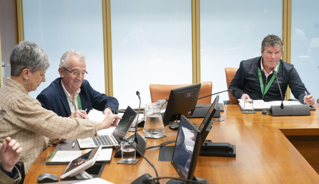 El viceconsejero de Política Lingüística del Gobierno Vasco, Aitor Aldasoro, y el director del Instituto de Alfabetización y Reeuskaldunización de Adultos (HABE), Jokin Azkue, han comparecido en el Parlamento Vasco