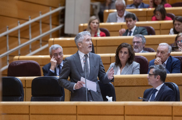 El ministro del Interior, Fernando Grande-Marlaska, interviene durante una sesión de control en el Senado, a 8 de abril de 2025, en Madrid (España).