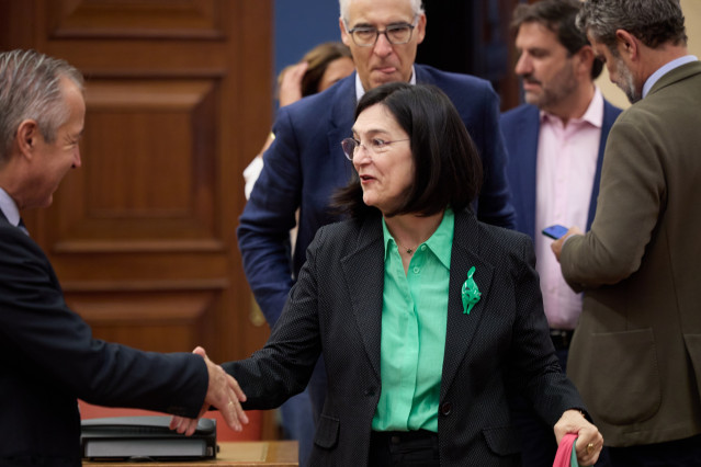 Archivo - La presidenta de la Comisión Nacional de los Mercados y Competencia (CNMC), Cani Fernández, llega a comparecer en la Comisión de Economía, Comercio y Transformación Digital, en el Congreso de los Diputados, a 19 de septiembre de 2024, en Madrid