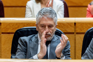 El ministro del Interior, Fernando Grande-Marlaska, durante una sesión de control al Gobierno en el Senado