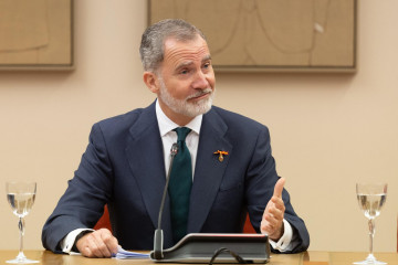 El Rey Felipe VI