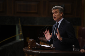 El presidente del PP, Alberto Núñez Feijóo, interviene durante una sesión plenaria, en el Congreso de los Diputados, a 7 de mayo de 2025, en Madrid (España).